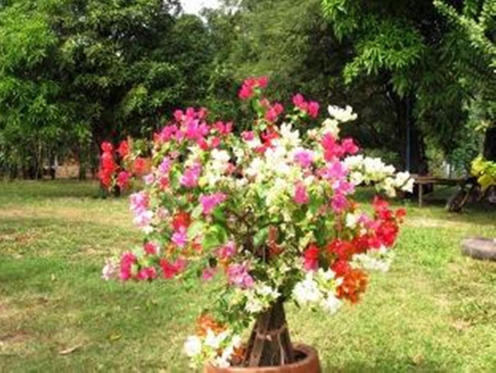 Champa Lodge Kampot Εξωτερικό φωτογραφία