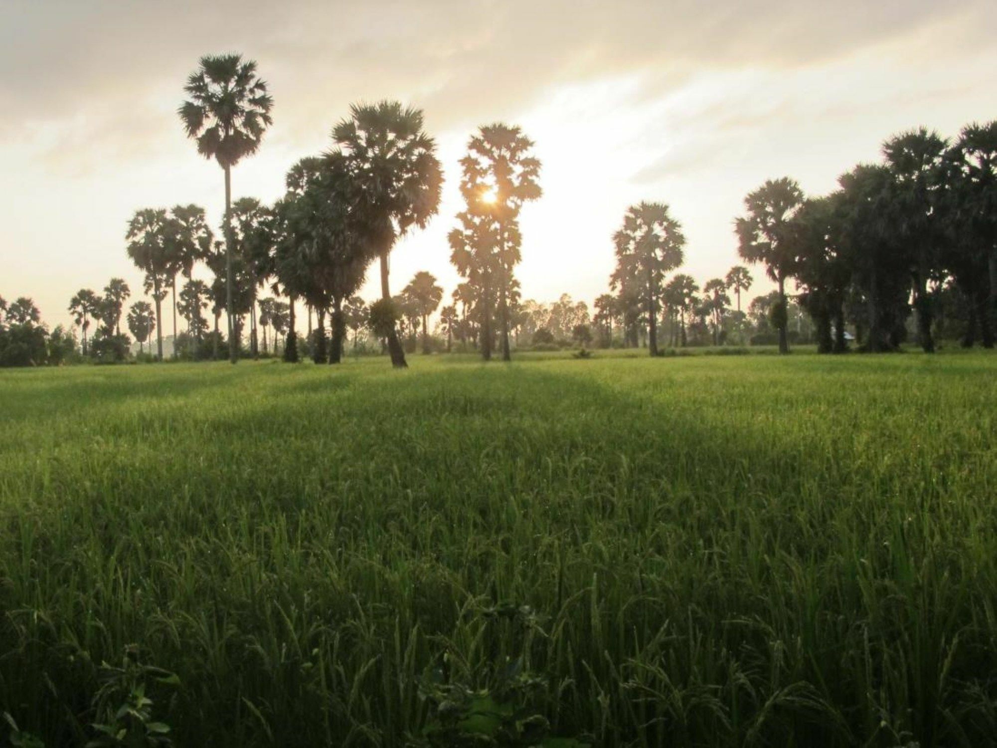 Champa Lodge Kampot Εξωτερικό φωτογραφία